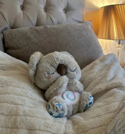 Koala di peluche calmante - Italia CocoLuna